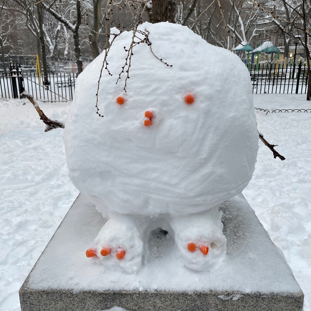 Meet your Posher, Caroline